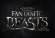 Un nouveau trailer pour les Animaux Fantastiques