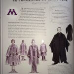 Harry Potter : la galerie des portraits