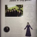 Harry Potter : la galerie des portraits