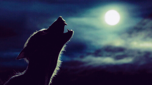 La Lycanthropie De Lupin Une Metaphore Pour Le Sida Poudlard Org