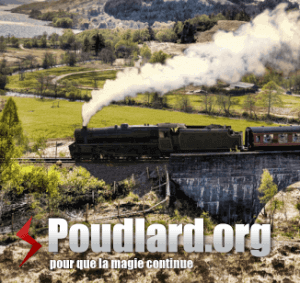 Poudlard.org pour que la magie continue