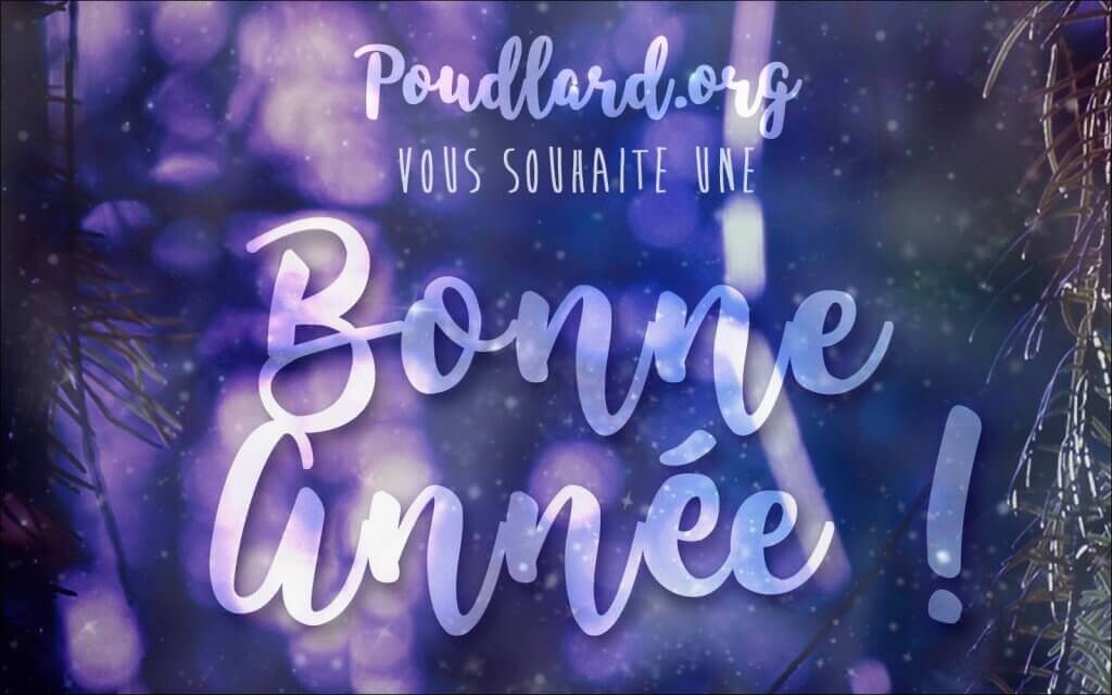 Poudlard.org vous souhaite une bonne année !