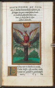 guy_de_la_garde__l_histoire_et_description_du_phoenix__1550__c__british_library