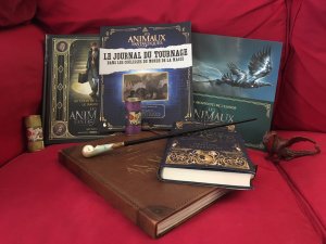 Les Animaux Fantastiques : le journal du tournage