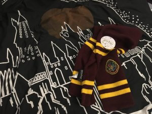 Wootbox Harry Potter