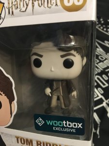 Wootbox Harry Potter Funko pop Tom Jedusor souvenir