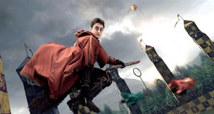 Quidditch sorcier ou Quidditch moldu ?
