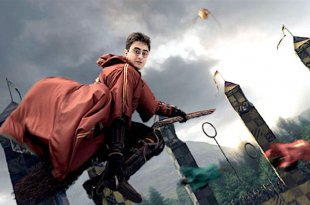 Quidditch sorcier ou Quidditch moldu ?