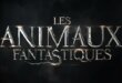 Les Animaux fantastiques 3 : sa sortie reportée à l’été 2022