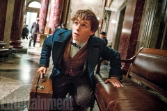FANTASTIC BEASTS AND WHERE TO FIND THEM
