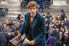 FANTASTIC BEASTS AND WHERE TO FIND THEM