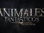Logo officiel des Animaux Fantastiques