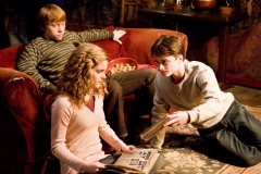 Harry Potter and the Half-Blood Prince (#6)