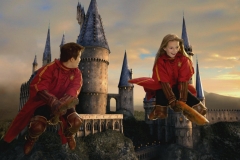 Universal Orlando Resort will launch a brand-new, national commercial for The Wizarding World of Harry Potter during Super Bowl XLIV.  The ad, created by Universal Orlando and Rosso Media Ltd in the UK, offers guests a look into the magic that awaits them at the highly anticipated theme park experience set to open Spring 2010.